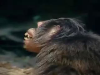 Tarzan-x shame na jane - časť 1, zadarmo dospelé video 88
